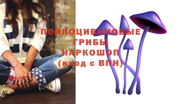 а пвп мука Алексеевка