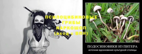 дживик Осташков