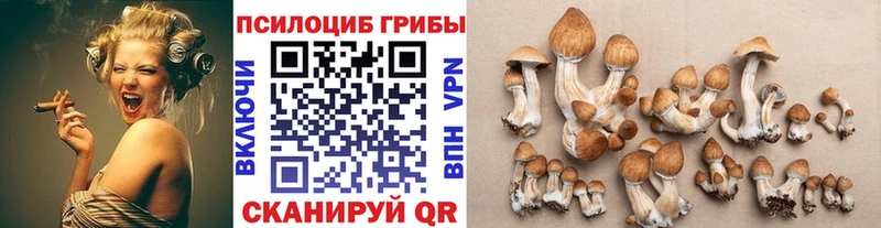 нарко площадка состав  купить закладку  OMG зеркало  Красноуральск  Галлюциногенные грибы прущие грибы 
